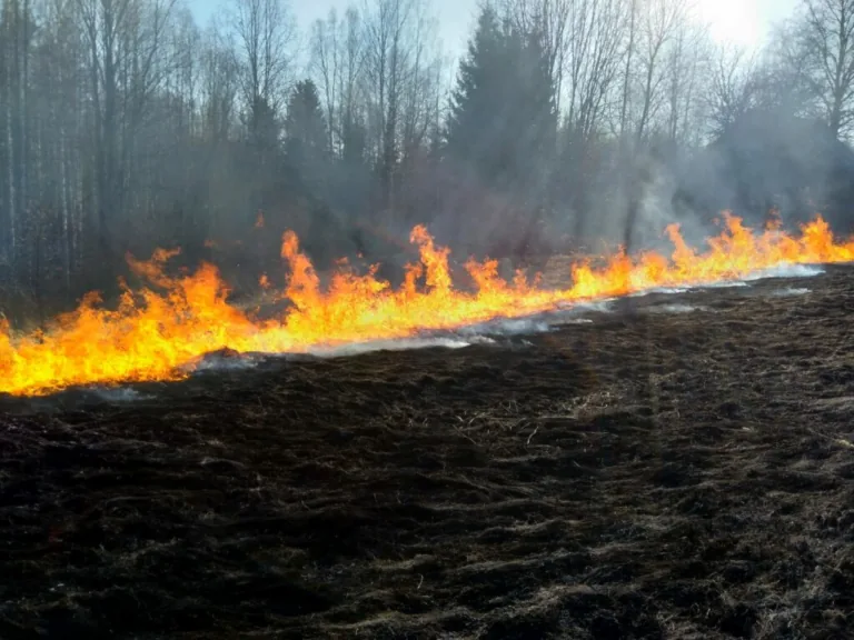 Arī Talsu novadā pirmie kūlas ugunsgrēki