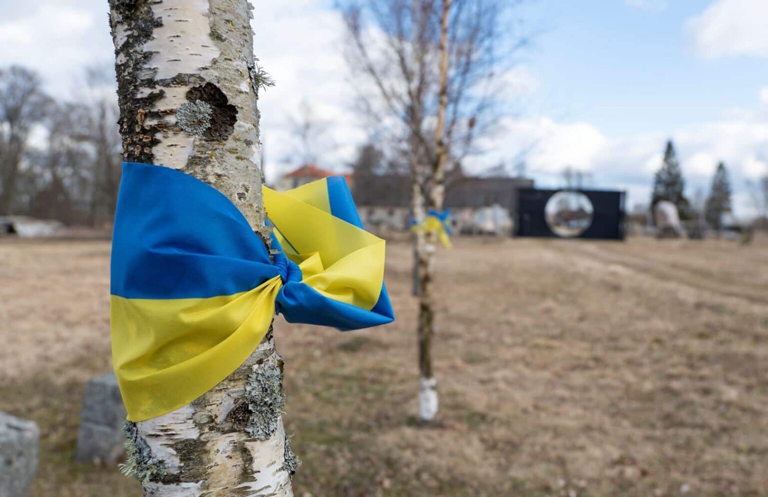 Pedvāles mākslas parkā aplūkojama instalācija «Melnais caurums, Ukraina, karš, aleja»