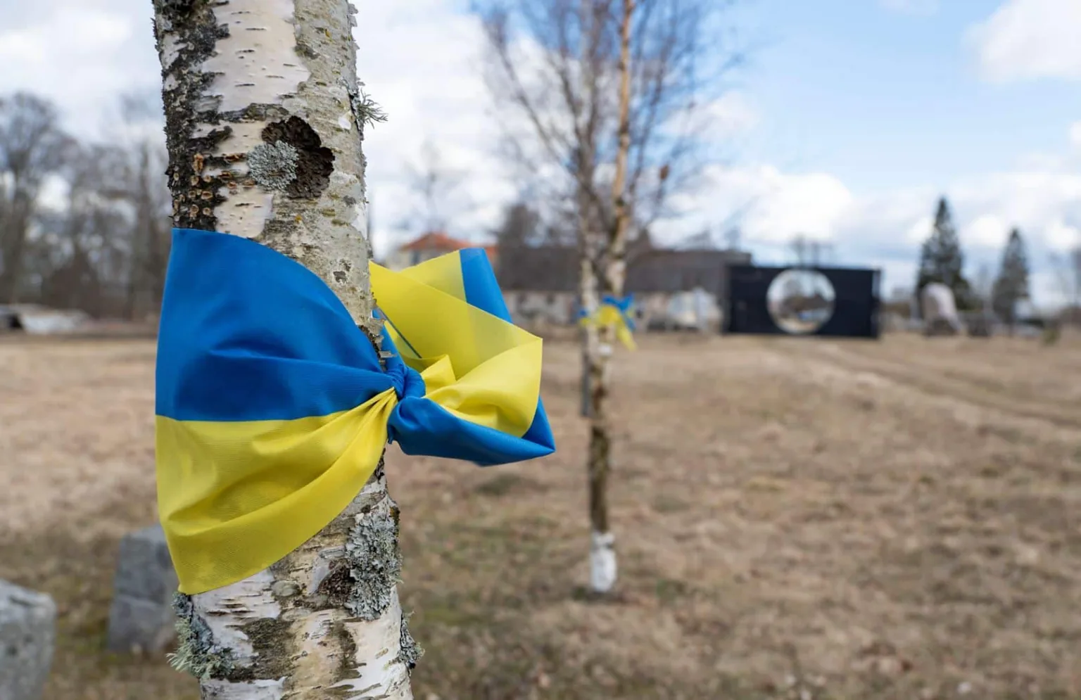 Pedvāles mākslas parkā aplūkojama instalācija «Melnais caurums, Ukraina, karš, aleja»