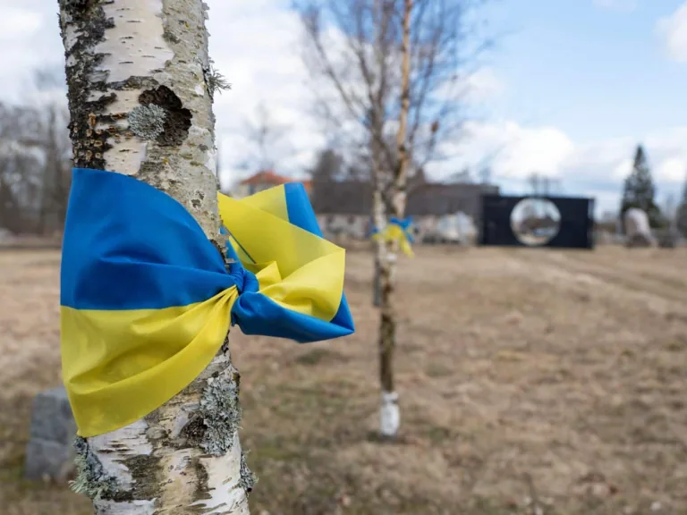 Pedvāles mākslas parkā aplūkojama instalācija «Melnais caurums, Ukraina, karš, aleja»
