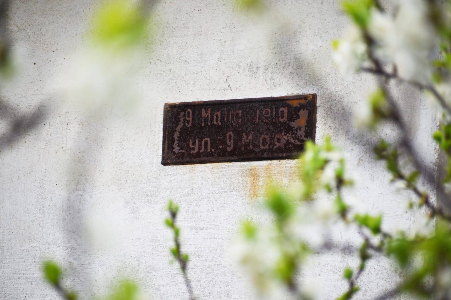 Talsu pilsētas 9. maija ielu par Maija ielu tomēr nepārsauks