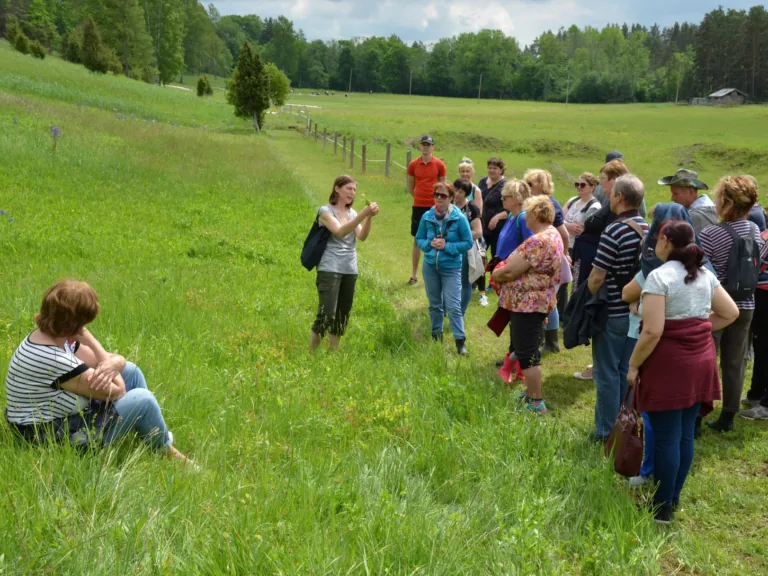 Sabiles vides eksperti aicina izzināt bagātīgās pļavas