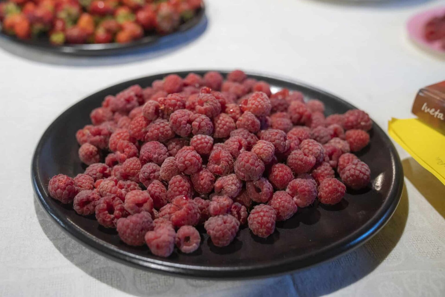 Par spīti lietum Vandzene svin Ogu festivālu