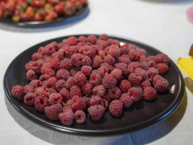 Par spīti lietum Vandzene svin Ogu festivālu