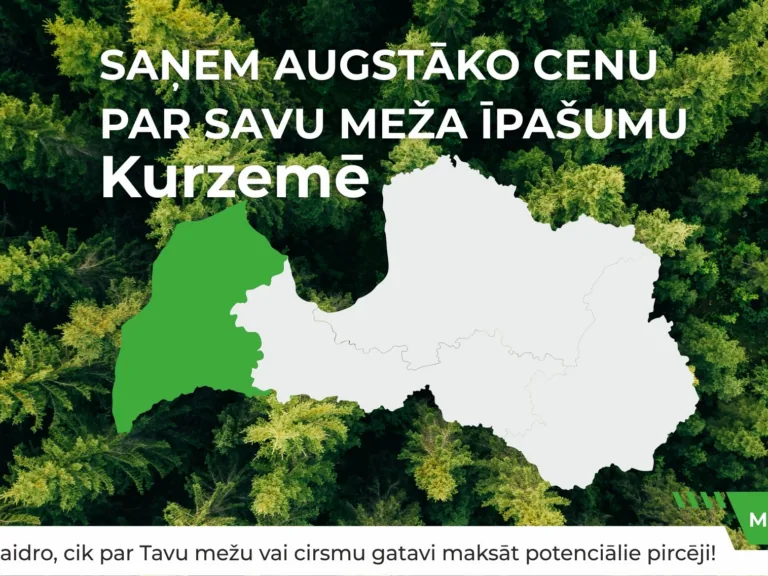Nemaksā neko, lai uzzinātu sava meža vērtību!