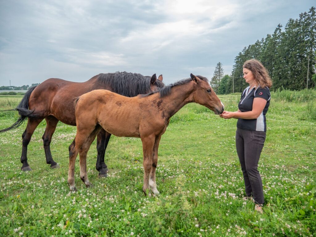 Balgalniece Vineta Plivna: «Zirgi paši mani atrod»