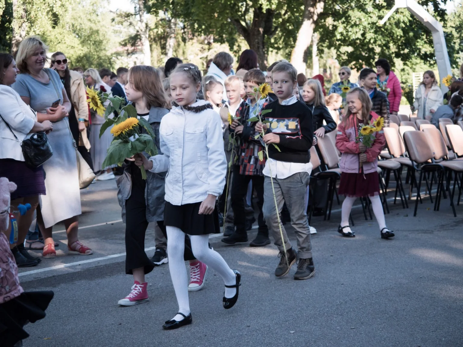 Talsu pamatskolas audzēkņi 1. septembrī ierodas ar saulespuķēm