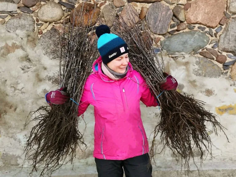 Kristīne un Andis Bogdānovi: «Talsi sauc atpakaļ!»