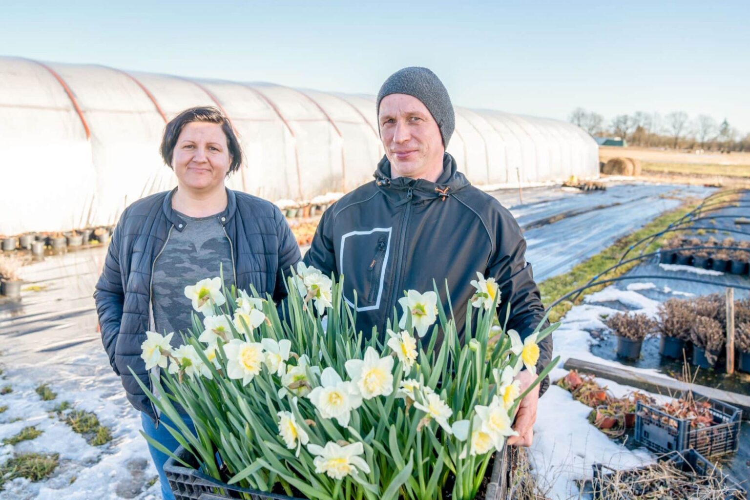 Siltumnīcu uzturēšana kļuvusi dārgāka