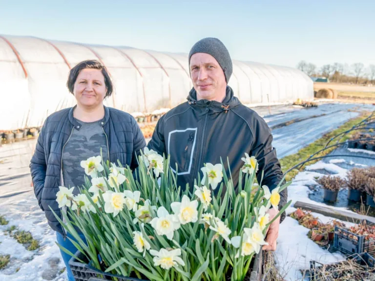 Siltumnīcu uzturēšana kļuvusi dārgāka