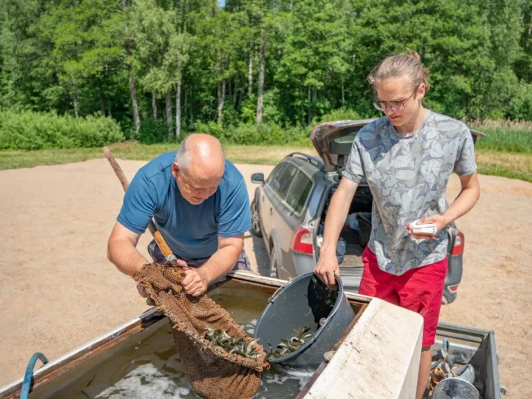 Vairākos Talsu novada ezeros papildināti zivju resursi