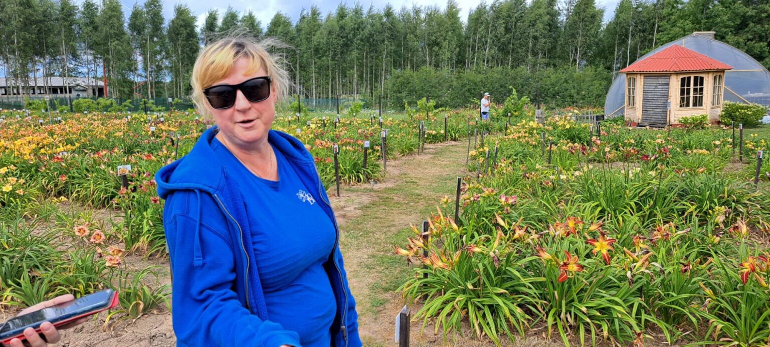 Krāšņi ziedi skaistumam, kurus nudien var saukt par pieticīgiem
