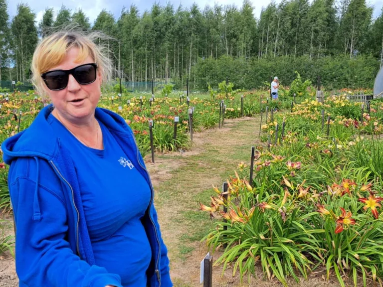 Krāšņi ziedi skaistumam, kurus nudien var saukt par pieticīgiem