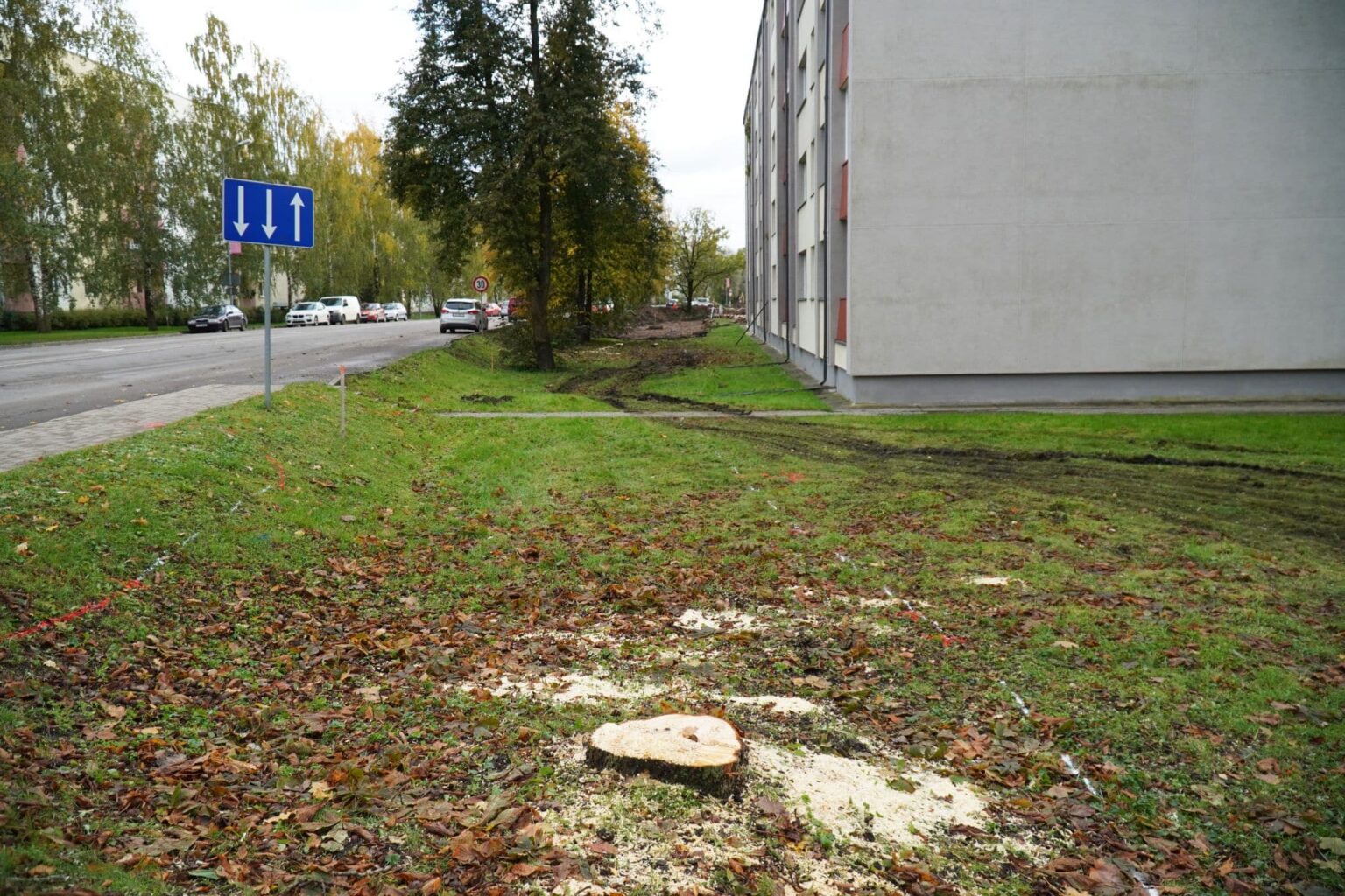 Gājēju un velobraucēju drošībai un ērtībām izzāģē kokus