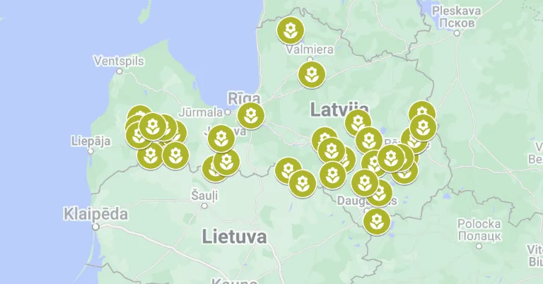 LATRAPS aicina apmeklēt saulespuķu laukus un ziedot Ukrainai