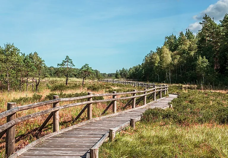 Četriem nacionālajiem parkiem, tostarp Slīterei, piešķirs vairāk nekā astoņus miljonus