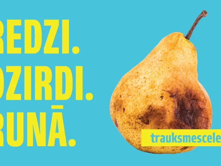Trauksmes cēlēji visbiežāk vēršas VID, KNAB, Valsts policijā un Ģenerālprokuratūrā