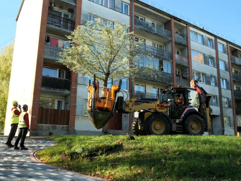 Talsos pārstāda desmitiem dendroloģiski vērtīgu koku