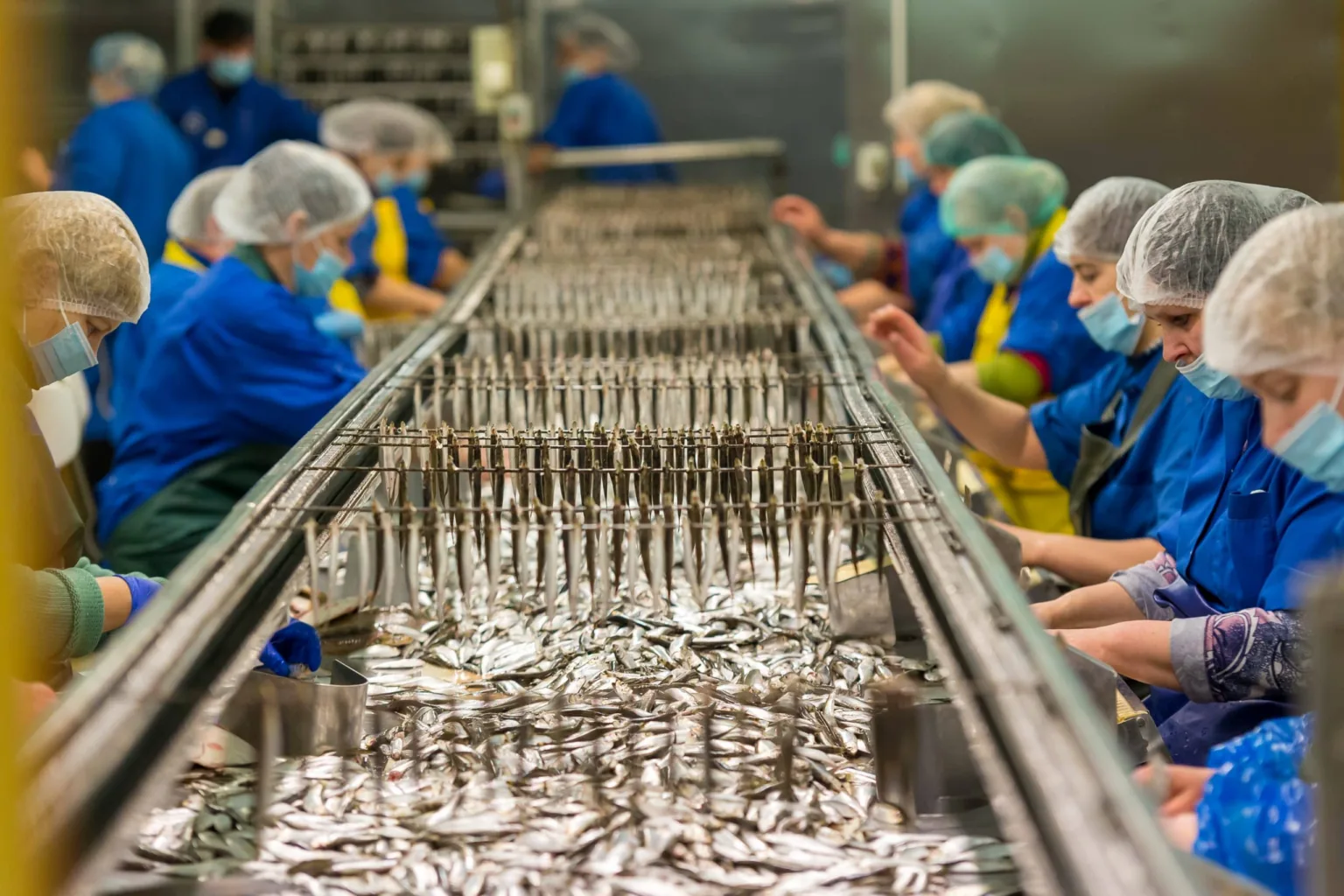 «Banga LTD» virzībā uz attīstību un ražošanas efektivitāti