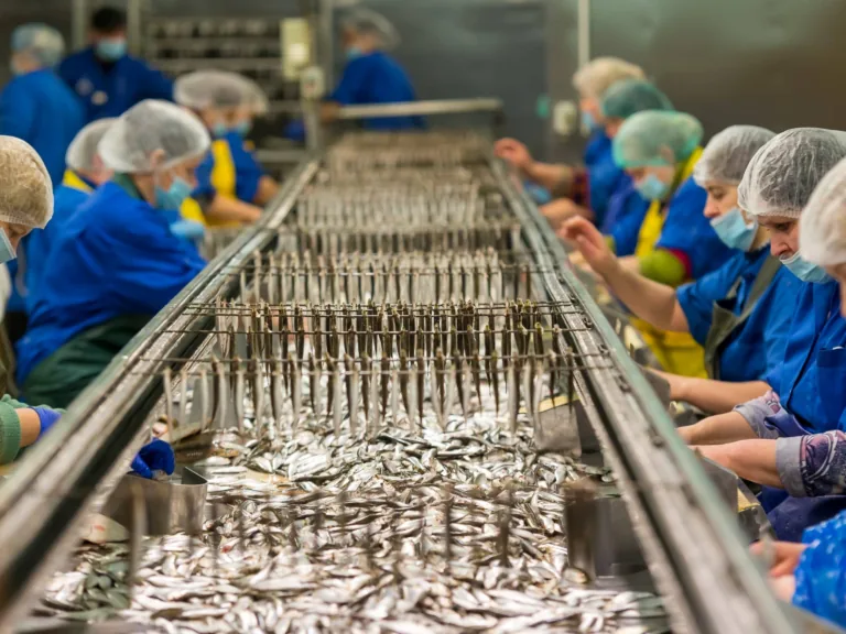 «Banga LTD» virzībā uz attīstību un ražošanas efektivitāti