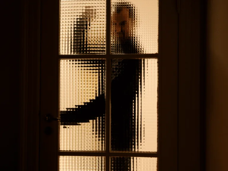 Soda par seksuālu vardarbību un pornogrāfiska rakstura materiālu apriti