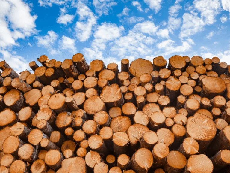 Austrijas «HS Timber Group» iegādājas kokapstrādes uzņēmumu «Vika Wood»