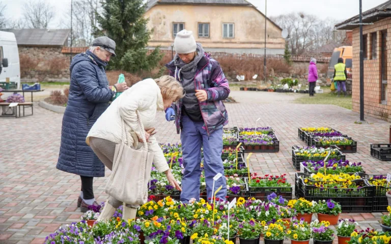Fotoreportāža Dundagas tirgū