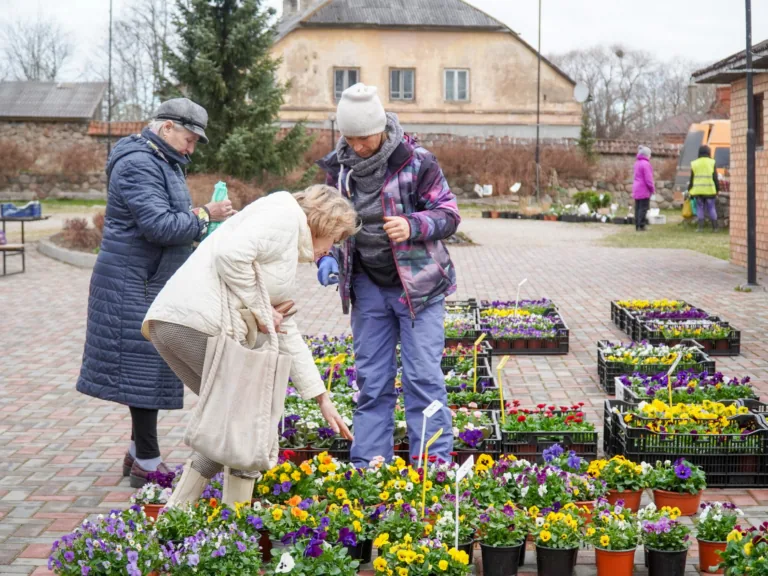 Fotoreportāža Dundagas tirgū