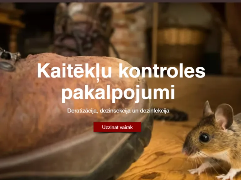 Kā izvēlēties drošu un efektīvu dezinsekcijas pakalpojuma sniedzēju?