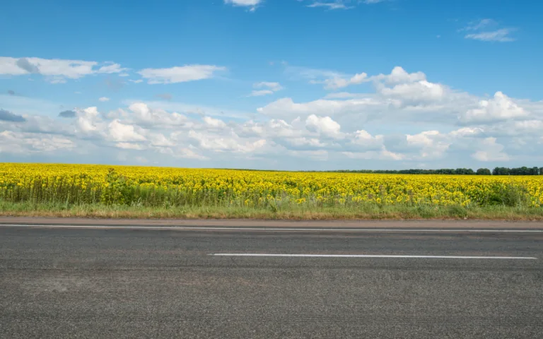 Sabiedrisko transportu maršrutu nākotne neskaidra.