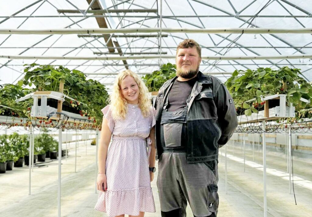 Ciemos modernākajā zemeņu siltumnīcā novadā – «Jaunvecumi»