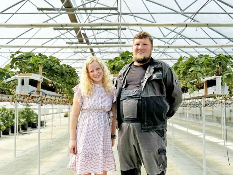 Ciemos modernākajā zemeņu siltumnīcā novadā – «Jaunvecumi»