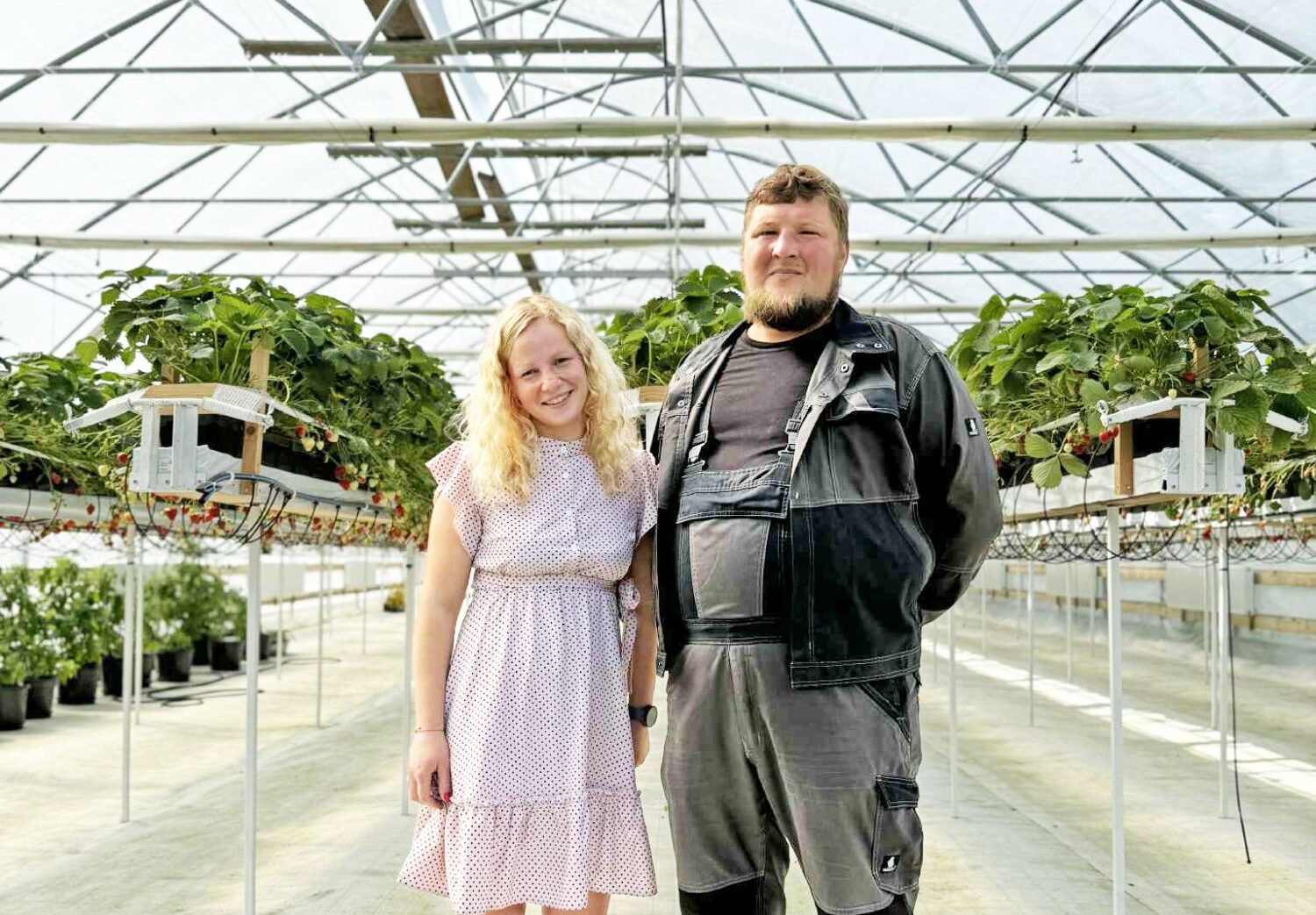 Ciemos modernākajā zemeņu siltumnīcā novadā – «Jaunvecumi»