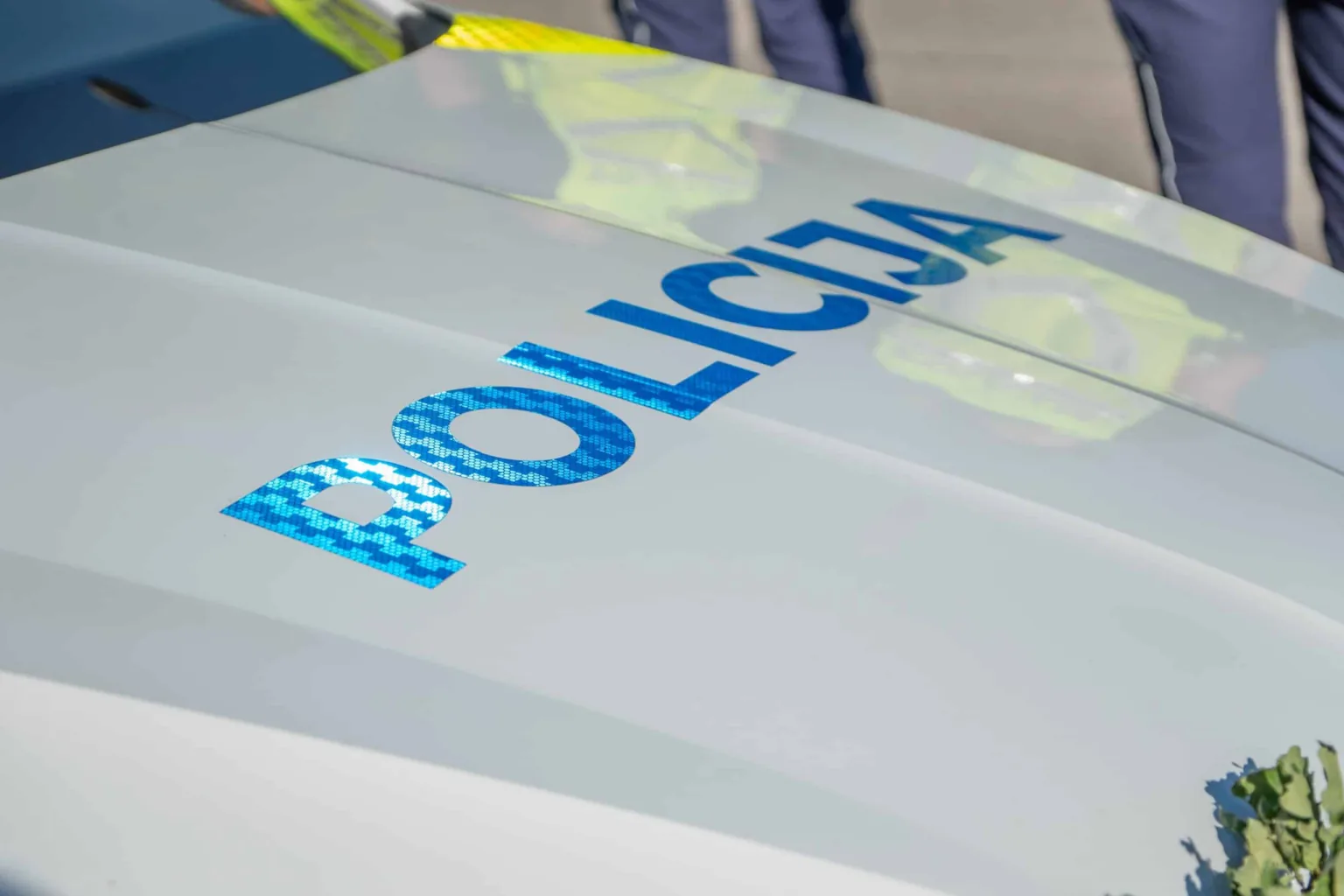 Valts policija