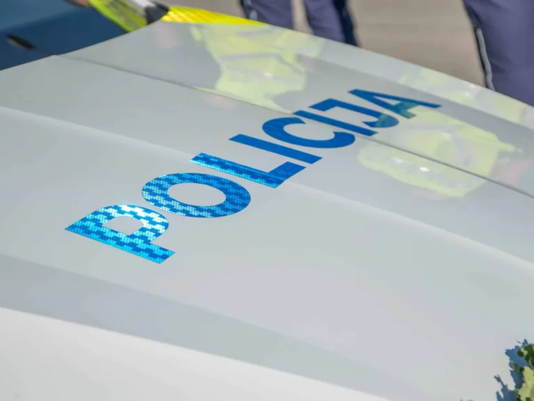 Valts policija