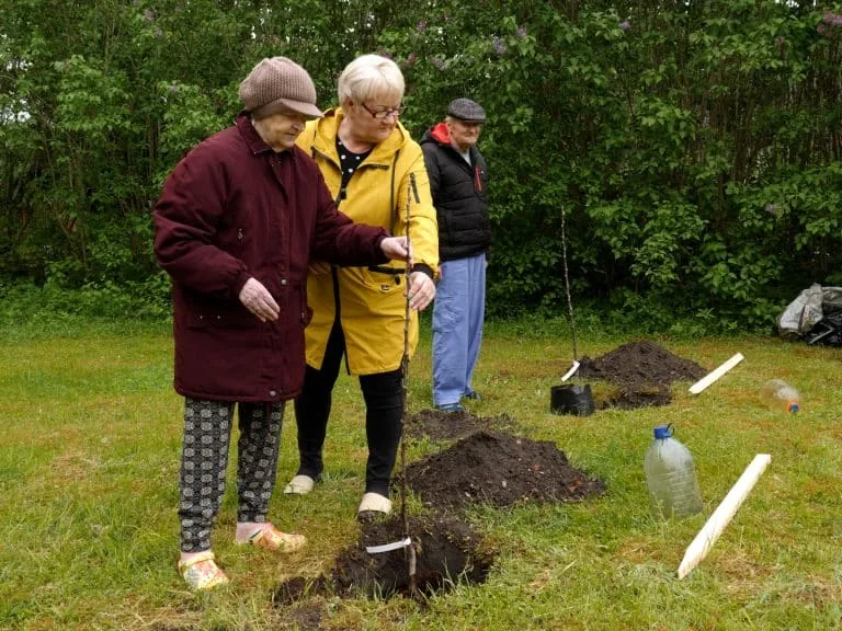 Akcija “Apstādīsim Latviju ar augļu kokiem” īstenota arī Sabilē