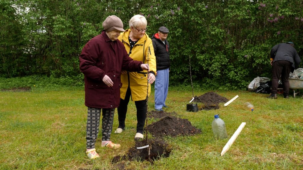 Akcija “Apstādīsim Latviju ar augļu kokiem” īstenota arī Sabilē