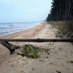 Zvejnieku biedrība: «Lieciet mierā pēdējos piekrastes zvejniekus!»