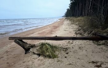 Zvejnieku biedrība: «Lieciet mierā pēdējos piekrastes zvejniekus!»