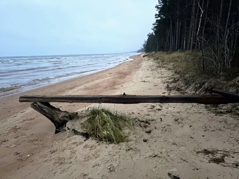 Zvejnieku biedrība: «Lieciet mierā pēdējos piekrastes zvejniekus!»