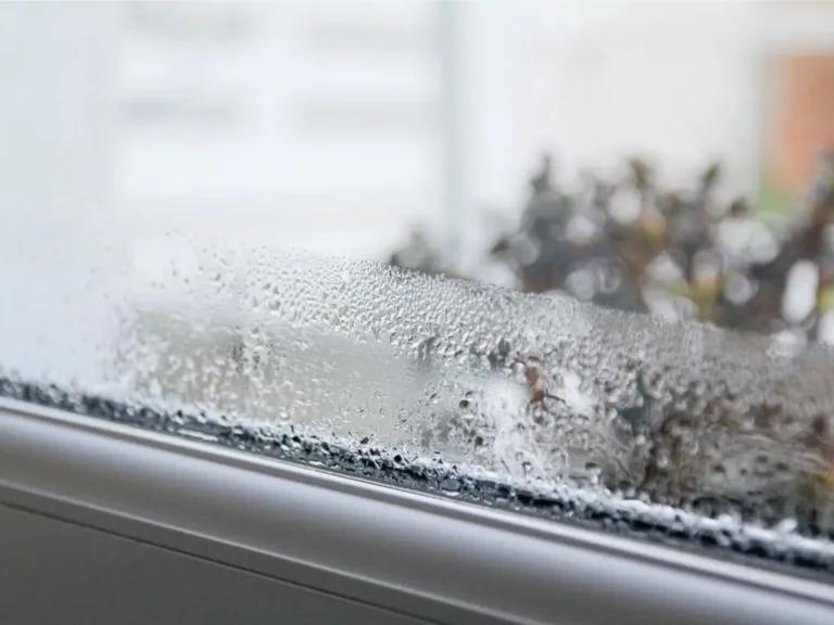 Kāpēc ziemā «svīst» logi un ko tas patiesībā signalizē par mājokli?