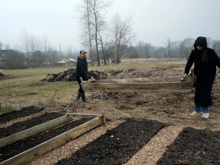 Viena no videi draudzīgām dārzkopības metodēm — permakultūra