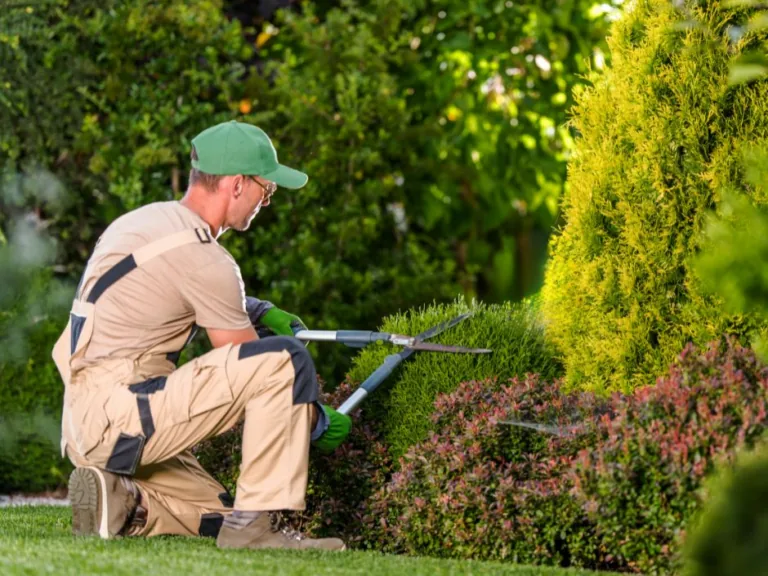 SIA “Janvāri” apvieno spēkus ar  SIA “Landscape Construction”