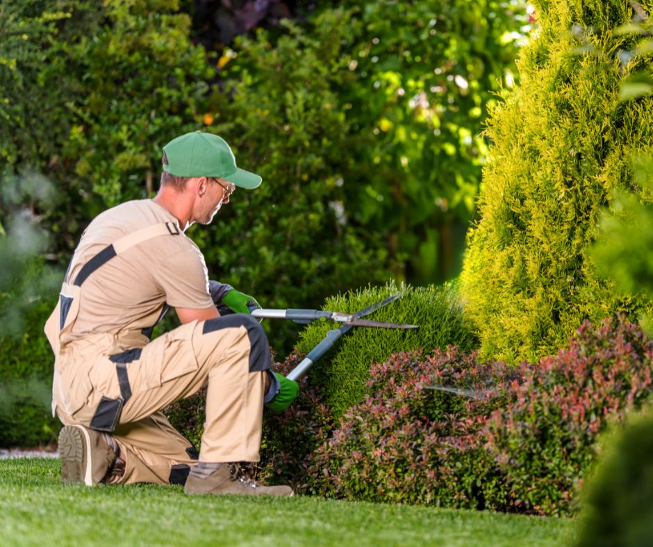 SIA “Janvāri” apvieno spēkus ar  SIA “Landscape Construction”