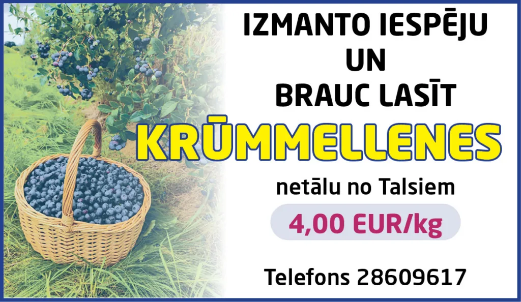 Krūmmellenes