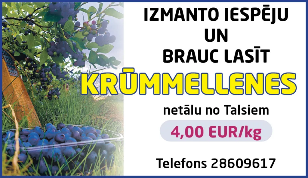 Krūmmellenes